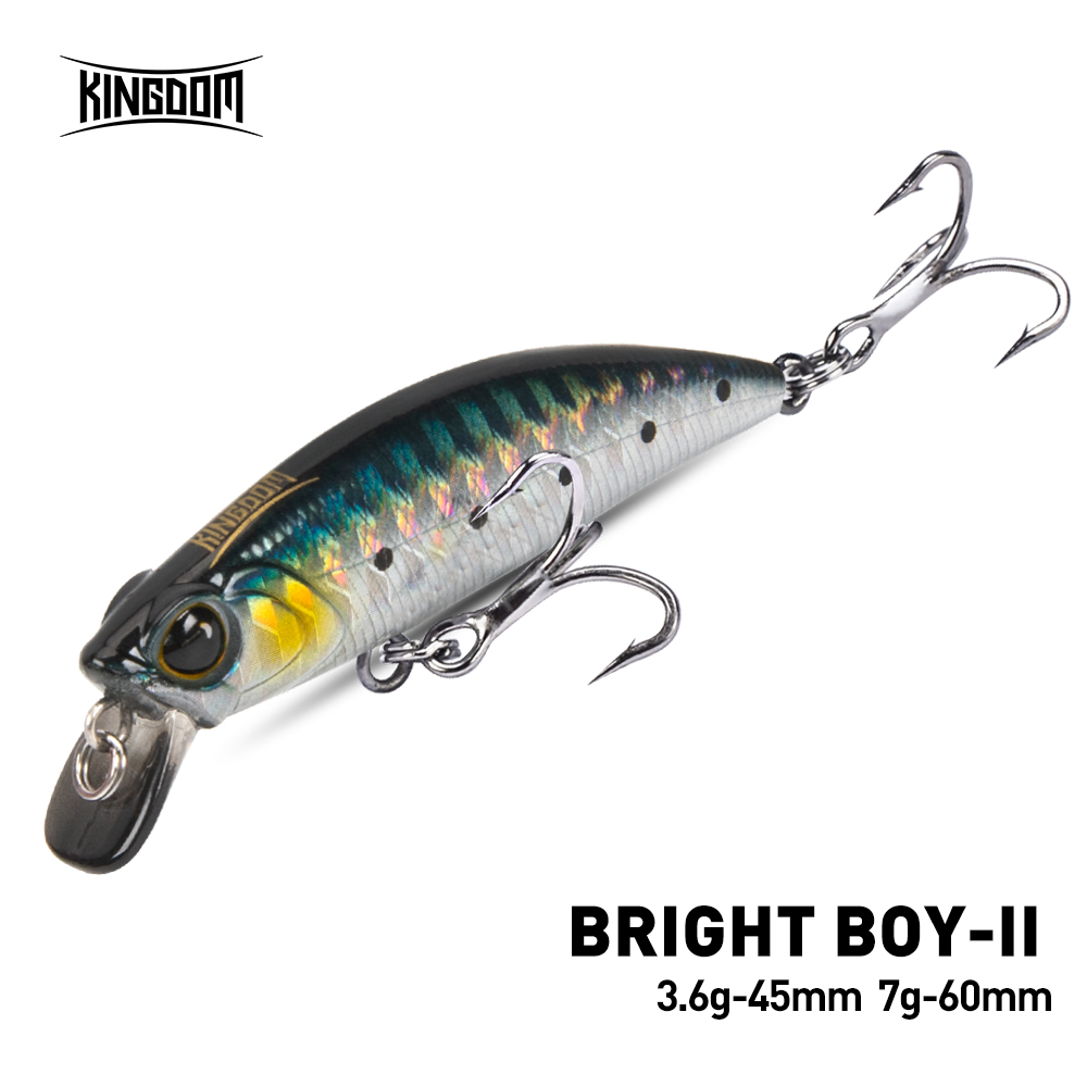 Fishing Equipment For Trout - Kingdom-señuelo de pesca de pececillo que